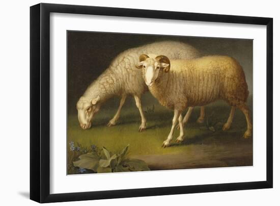 A Ram and a Sheep-Johan Wenzel Peter-Framed Giclee Print