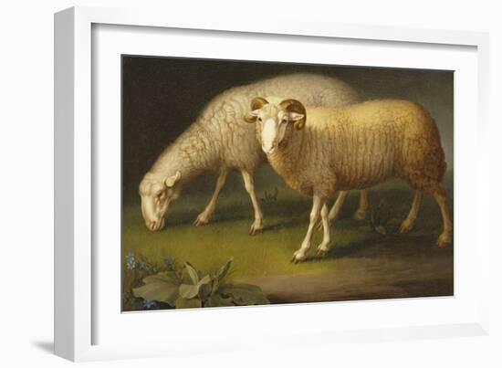 A Ram and a Sheep-Johan Wenzel Peter-Framed Giclee Print