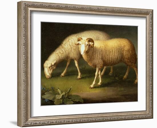 A Ram and Sheep-Johan Wenzel Peter-Framed Giclee Print