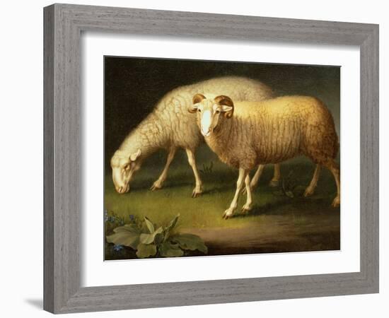 A Ram and Sheep-Johan Wenzel Peter-Framed Giclee Print