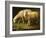 A Ram and Sheep-Johan Wenzel Peter-Framed Giclee Print