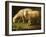 A Ram and Sheep-Johan Wenzel Peter-Framed Giclee Print