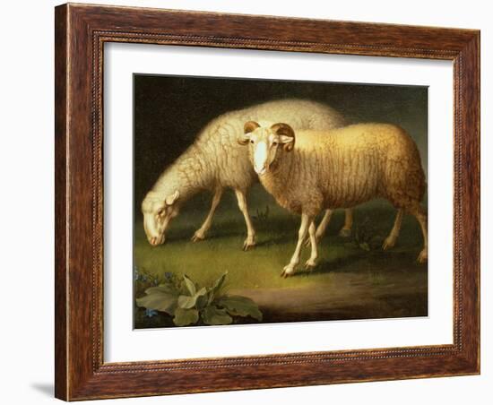 A Ram and Sheep-Johan Wenzel Peter-Framed Giclee Print