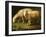 A Ram and Sheep-Johan Wenzel Peter-Framed Giclee Print