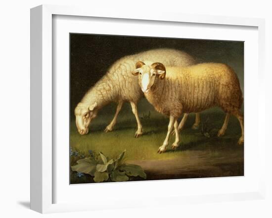 A Ram and Sheep-Johan Wenzel Peter-Framed Giclee Print