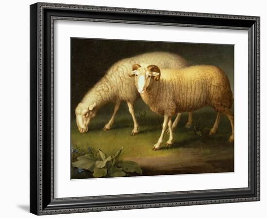 A Ram and Sheep-Johan Wenzel Peter-Framed Giclee Print