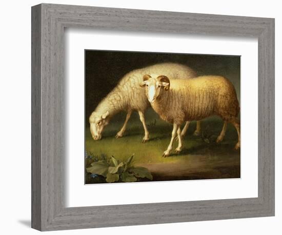 A Ram and Sheep-Johan Wenzel Peter-Framed Giclee Print