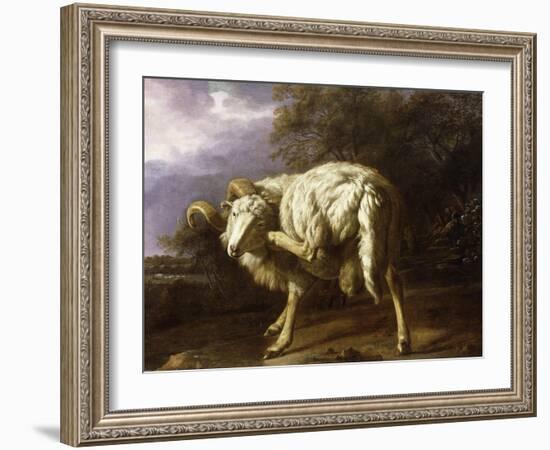 A Ram in a Wooded Landscape-Jan Baptist Weenix-Framed Giclee Print