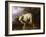 A Ram in a Wooded Landscape-Jan Baptist Weenix-Framed Giclee Print