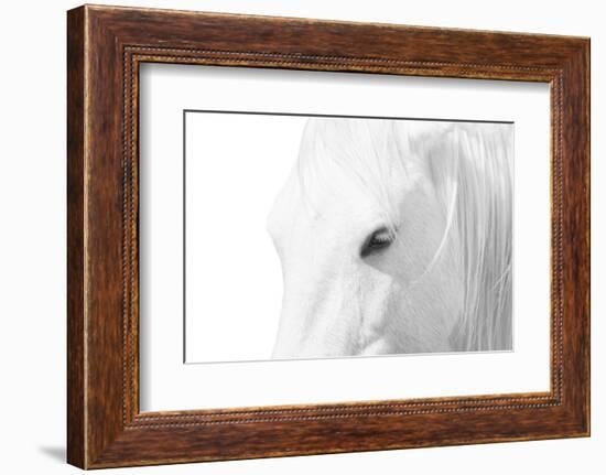 A Rare Breed-Marco Carmassi-Framed Photographic Print