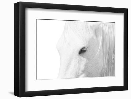 A Rare Breed-Marco Carmassi-Framed Photographic Print