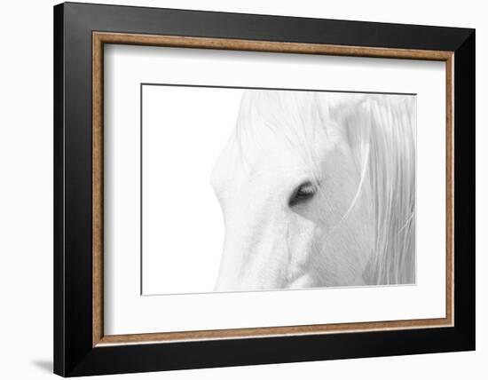 A Rare Breed-Marco Carmassi-Framed Photographic Print