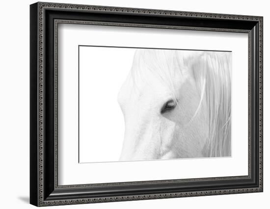 A Rare Breed-Marco Carmassi-Framed Photographic Print