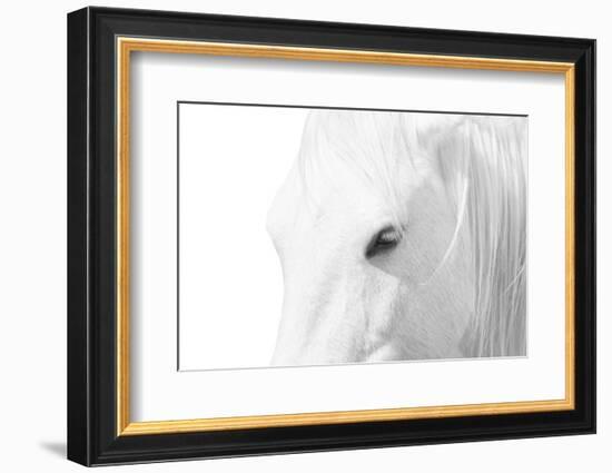 A Rare Breed-Marco Carmassi-Framed Photographic Print