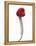 A Raspberry on a Fork-Marc O^ Finley-Framed Premier Image Canvas