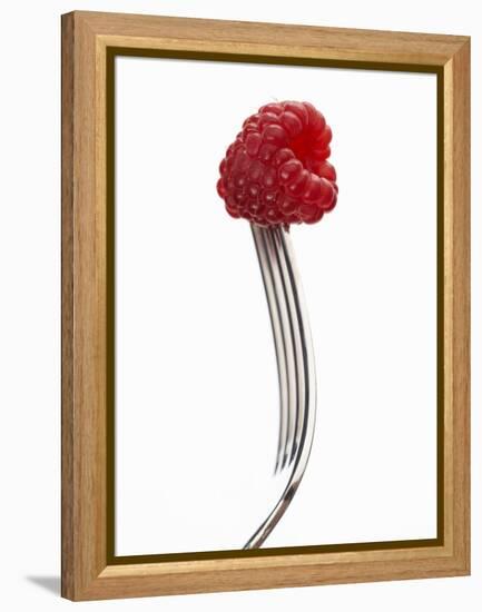 A Raspberry on a Fork-Marc O^ Finley-Framed Premier Image Canvas