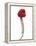 A Raspberry on a Fork-Marc O^ Finley-Framed Premier Image Canvas