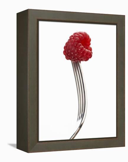 A Raspberry on a Fork-Marc O^ Finley-Framed Premier Image Canvas