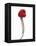 A Raspberry on a Fork-Marc O^ Finley-Framed Premier Image Canvas