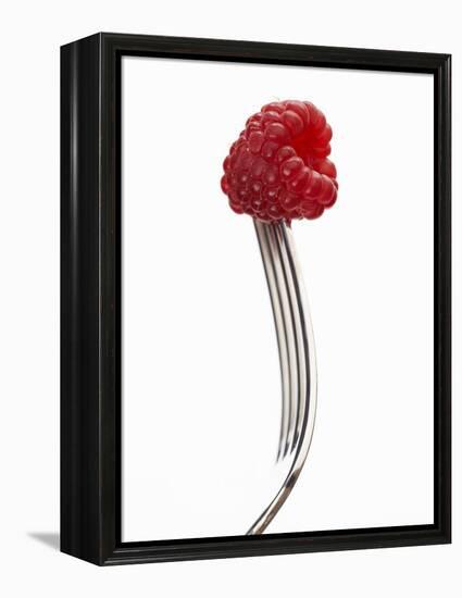 A Raspberry on a Fork-Marc O^ Finley-Framed Premier Image Canvas