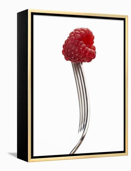 A Raspberry on a Fork-Marc O^ Finley-Framed Premier Image Canvas