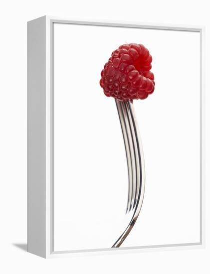 A Raspberry on a Fork-Marc O^ Finley-Framed Premier Image Canvas