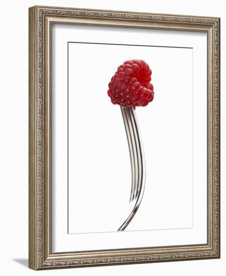 A Raspberry on a Fork-Marc O^ Finley-Framed Photographic Print