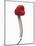 A Raspberry on a Fork-Marc O^ Finley-Mounted Photographic Print