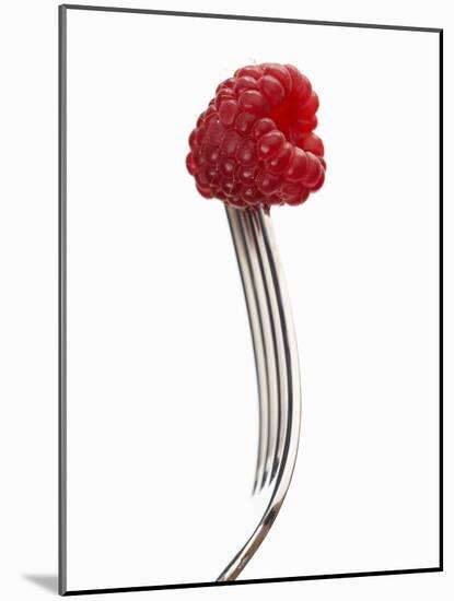 A Raspberry on a Fork-Marc O^ Finley-Mounted Photographic Print