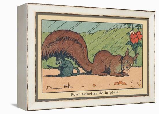 A Rat Takes Shelter under the Tail of a Squirrel.” for Shelter from the Rain” ,1936 (Illustration)-Benjamin Rabier-Framed Premier Image Canvas