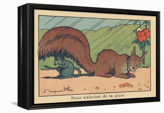 A Rat Takes Shelter under the Tail of a Squirrel.” for Shelter from the Rain” ,1936 (Illustration)-Benjamin Rabier-Framed Premier Image Canvas