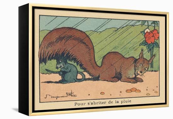 A Rat Takes Shelter under the Tail of a Squirrel.” for Shelter from the Rain” ,1936 (Illustration)-Benjamin Rabier-Framed Premier Image Canvas