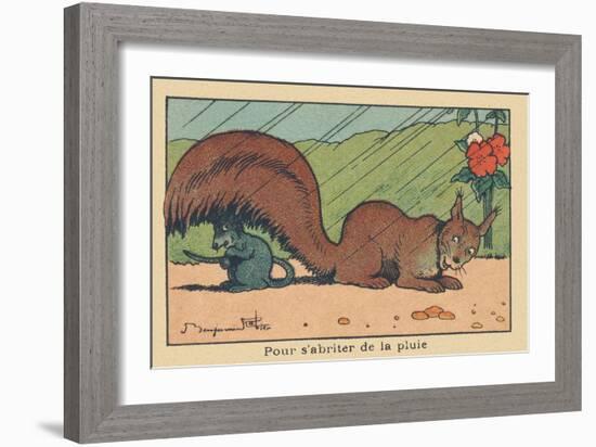 A Rat Takes Shelter under the Tail of a Squirrel.” for Shelter from the Rain” ,1936 (Illustration)-Benjamin Rabier-Framed Giclee Print