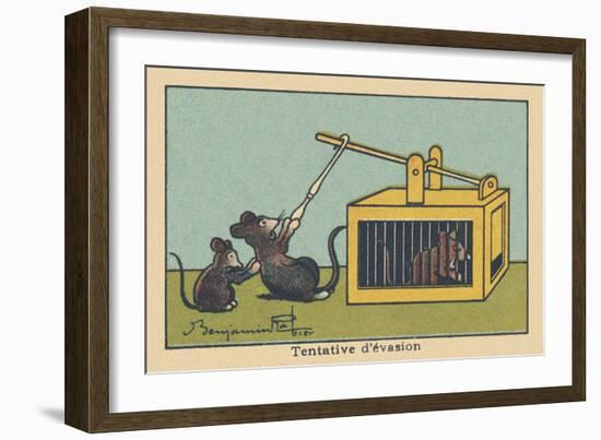 A Rat Tries to Lift the Trap Door to save a Prisoner.” Escape Attempt” ,1936 (Illustration)-Benjamin Rabier-Framed Giclee Print