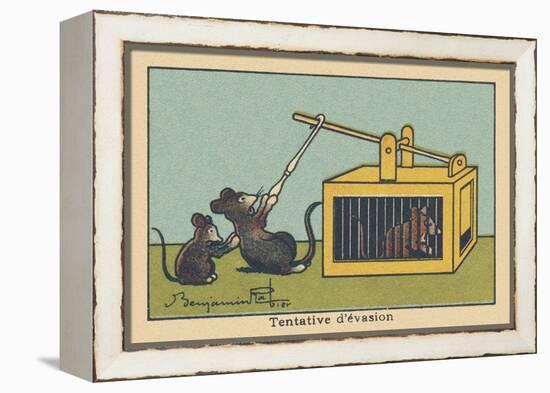 A Rat Tries to Lift the Trap Door to save a Prisoner.” Escape Attempt” ,1936 (Illustration)-Benjamin Rabier-Framed Premier Image Canvas