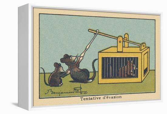 A Rat Tries to Lift the Trap Door to save a Prisoner.” Escape Attempt” ,1936 (Illustration)-Benjamin Rabier-Framed Premier Image Canvas