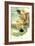 A Reading of Homer, Detail-Sir Lawrence Alma-Tadema-Framed Art Print