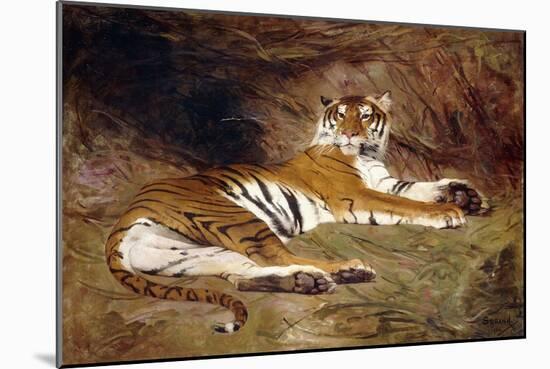 A Reclining Tiger, 1904 (Oil on Canvas)-Gustave Surand-Mounted Giclee Print