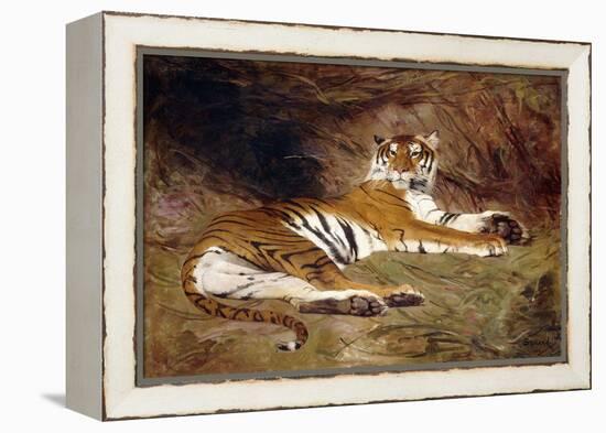 A Reclining Tiger, 1904 (Oil on Canvas)-Gustave Surand-Framed Premier Image Canvas