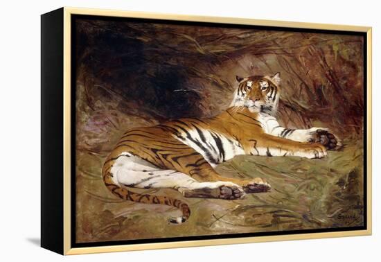 A Reclining Tiger, 1904 (Oil on Canvas)-Gustave Surand-Framed Premier Image Canvas