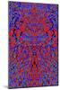 A Red and Blue Kaleidoscopic Tapestry-Ray2012-Mounted Art Print