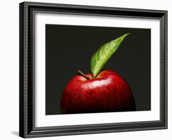 A Red Apple with Leaf-Gustavo Andrade-Framed Photographic Print