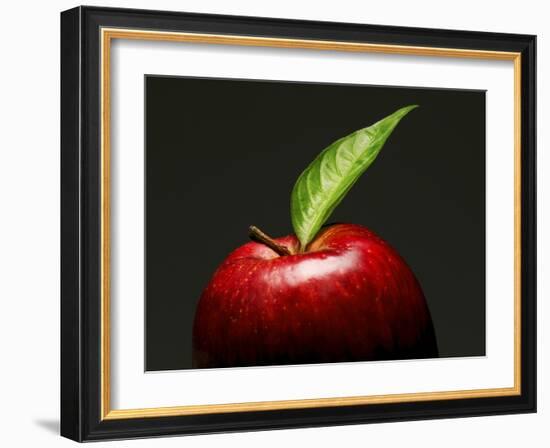 A Red Apple with Leaf-Gustavo Andrade-Framed Photographic Print