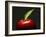 A Red Apple with Leaf-Gustavo Andrade-Framed Photographic Print