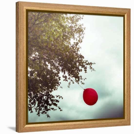 A Red Balloon Hanging on a Tree-Joana Kruse-Framed Premier Image Canvas