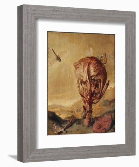 A Red Cabbage, a Snail, a Butterfly, a Dragonfly, a Bee and a Wood Louse in a Landscape-Margarethe de Heer-Framed Giclee Print