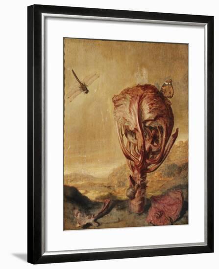 A Red Cabbage, a Snail, a Butterfly, a Dragonfly, a Bee and a Wood Louse in a Landscape-Margarethe de Heer-Framed Giclee Print