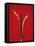 A Red Chili Pepper Sliced in Half-Jan-peter Westermann-Framed Premier Image Canvas