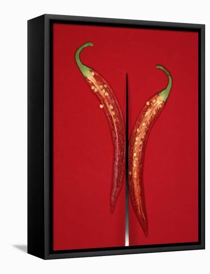 A Red Chili Pepper Sliced in Half-Jan-peter Westermann-Framed Premier Image Canvas