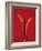 A Red Chili Pepper Sliced in Half-Jan-peter Westermann-Framed Photographic Print